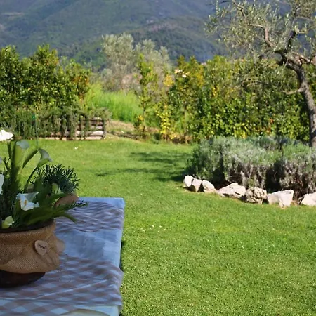 Casa Relax E Il Moraiolo