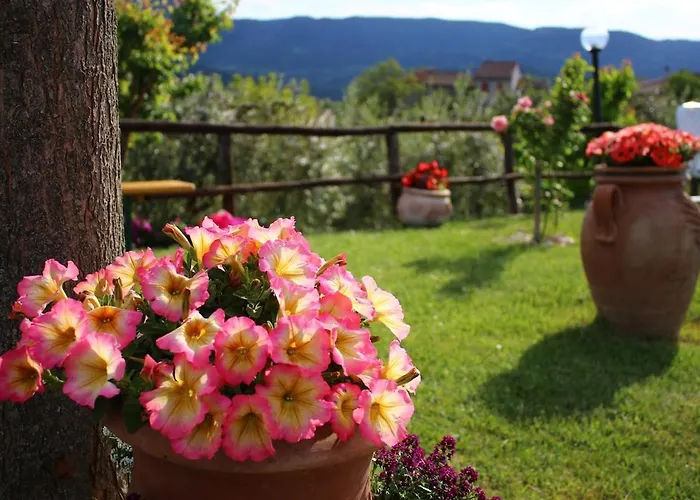 Casa de Férias Casa Relax E Il Moraiolo *